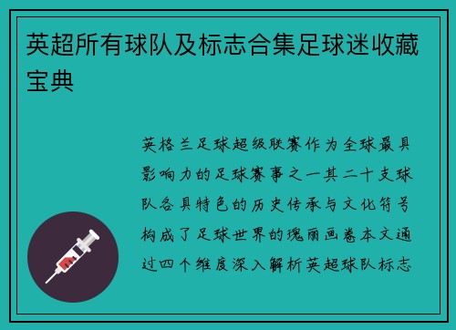 英超所有球队及标志合集足球迷收藏宝典